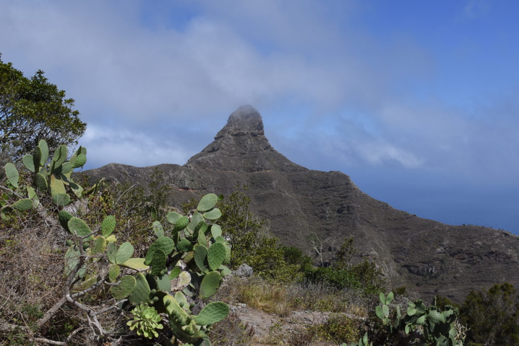 hora Roque de Taborno, vrcholek v oparu, v popředí kaktus